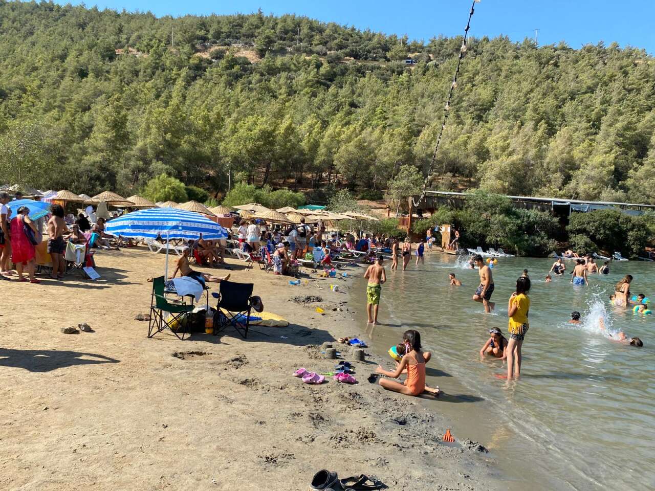 Muğla'da Birinci Derece SİT Alanındaki Orman Parkı İhaleye Çıkarıldı, Çevreciler Tepkili 2